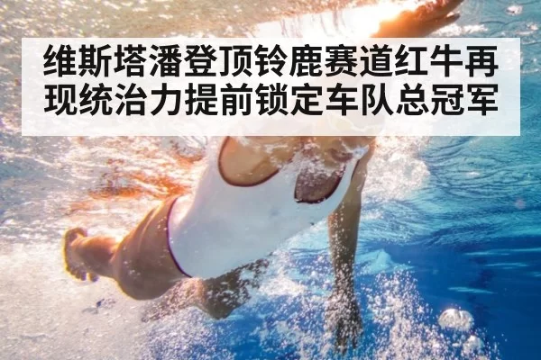 维斯塔潘登顶铃鹿赛道红牛再现统治力提前锁定车队总冠军