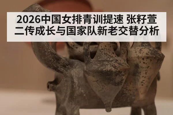 2026中国女排青训提速 张籽萱二传成长与国家队新老交替分析